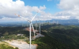 Điện gió Phong Liệu lãi hơn trăm tỷ đồng